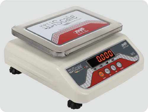 Electronic Weight Scale
